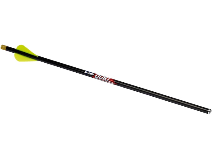 excalibur-quill-165-carbon-micro-crossbow-bolt-2-vanes-lighted-nocks-black.jpg